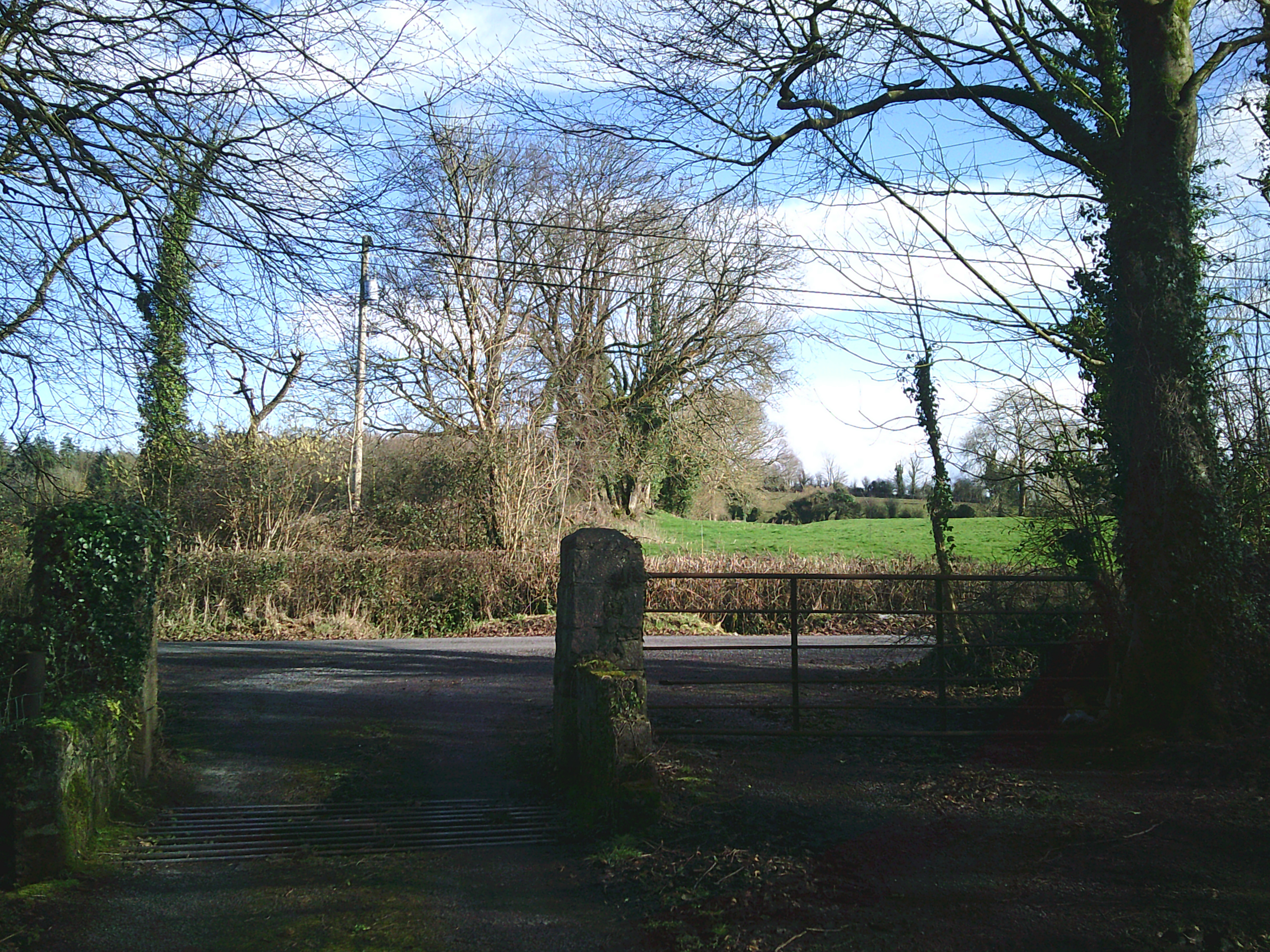 gate