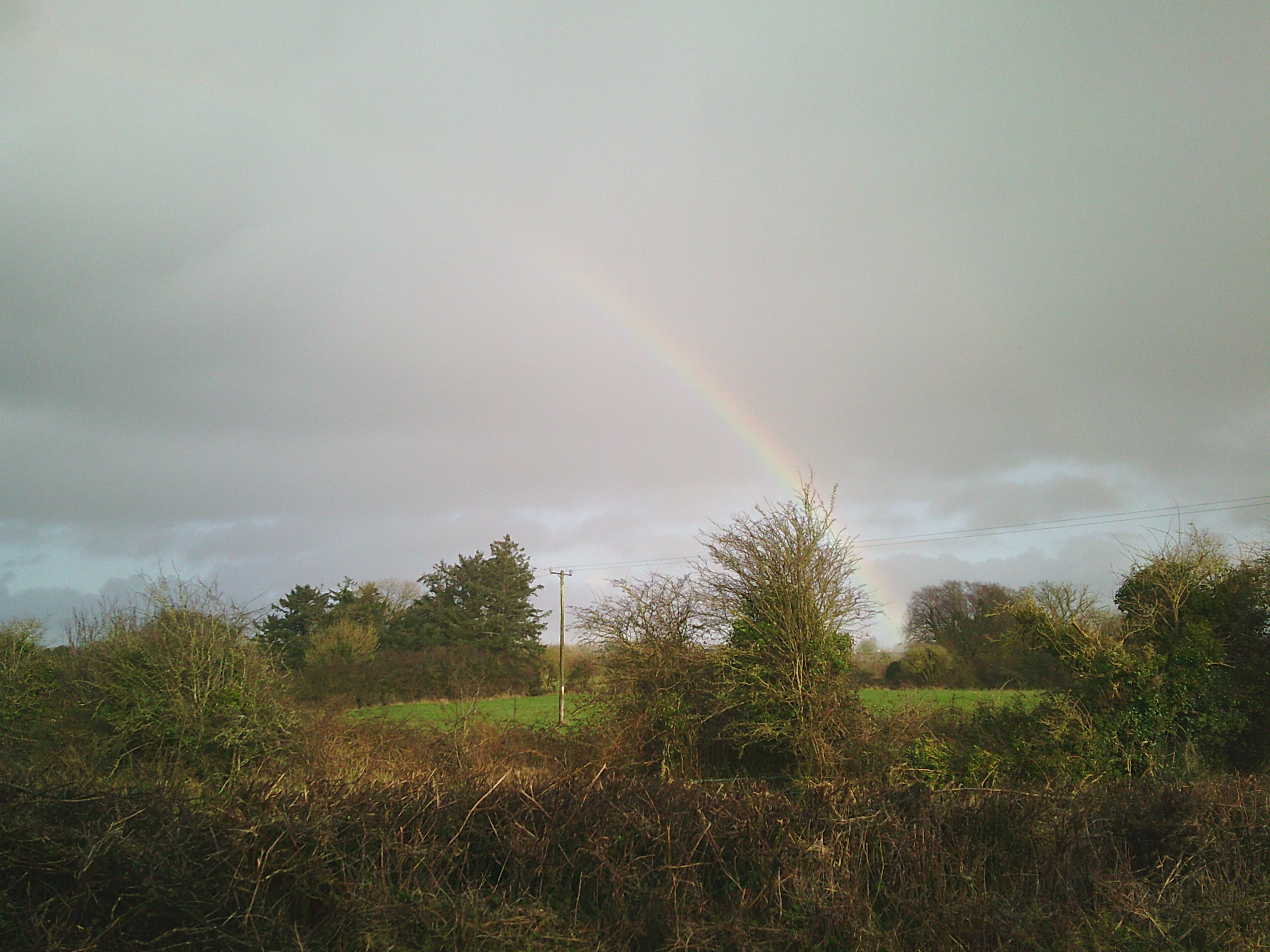 rainbow
