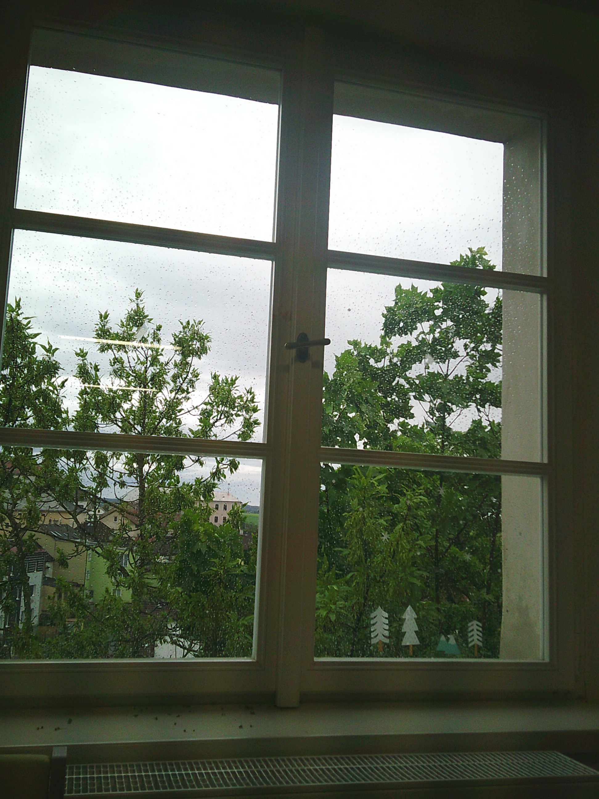 window